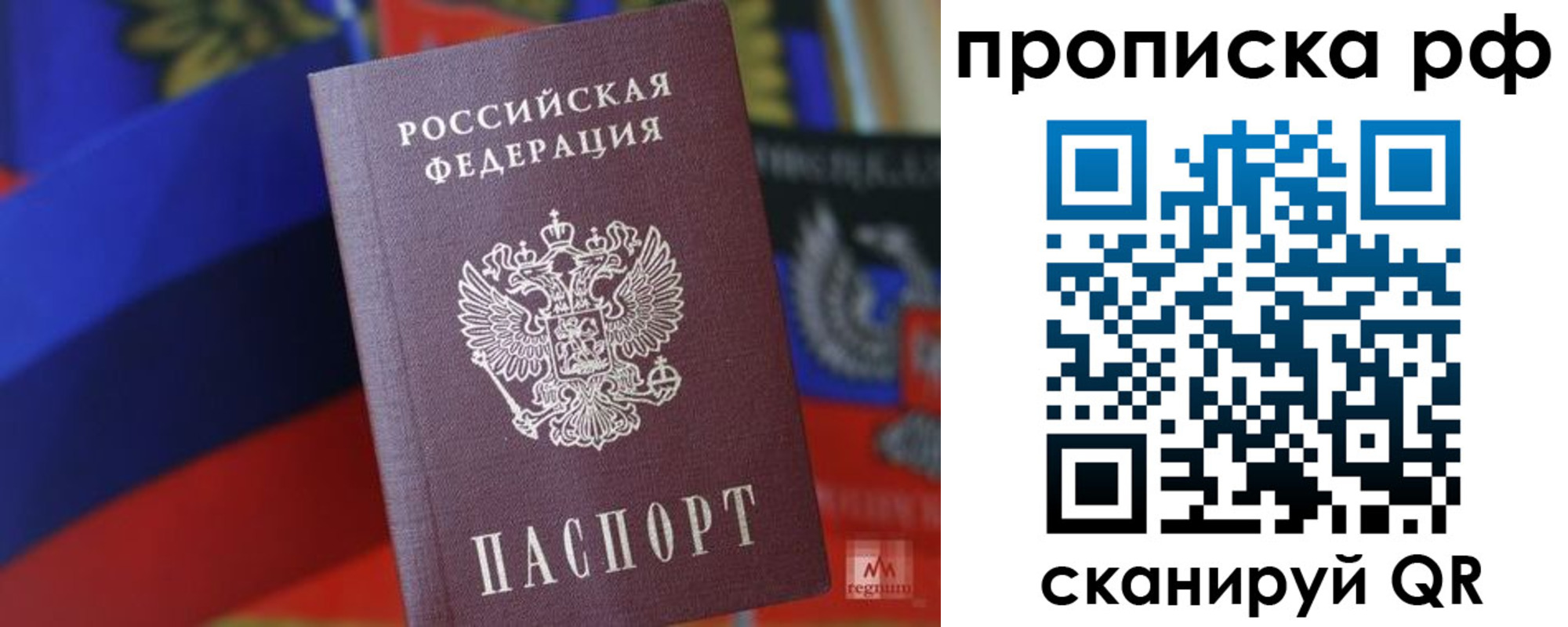купить прописку в Железногорске